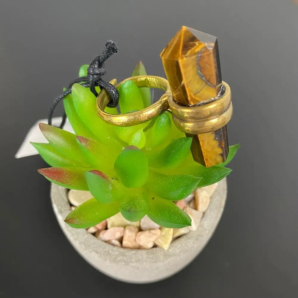 From St Xavier Luca Tigers Eye Point Pendant Ring NWT